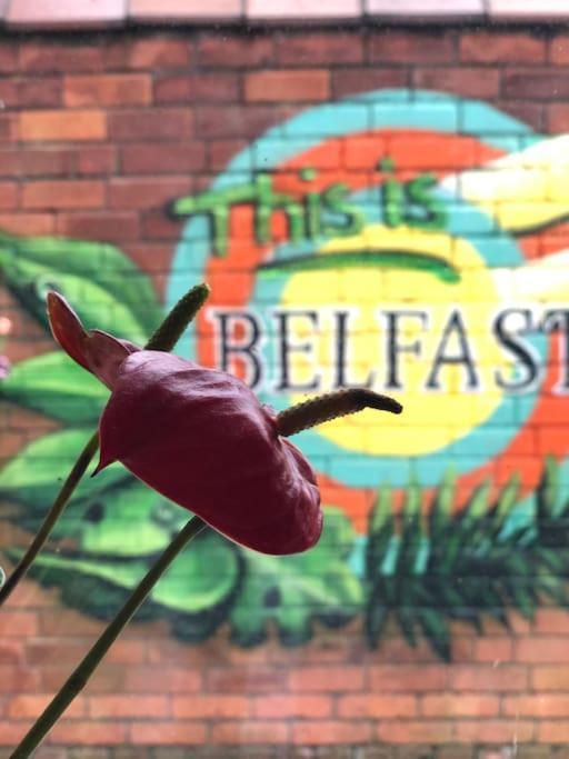 Cosy Two Bed Terraced House 7Min Drive From City Belfast Exterior foto